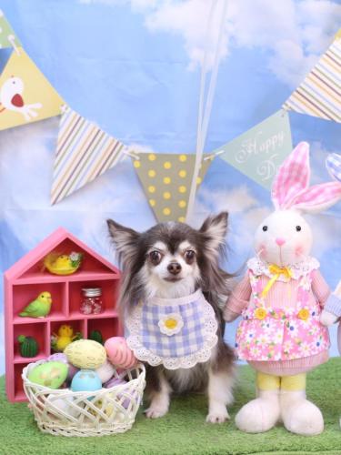 20240327空太くん